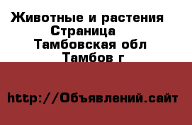  Животные и растения - Страница 2 . Тамбовская обл.,Тамбов г.